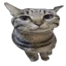 kokw